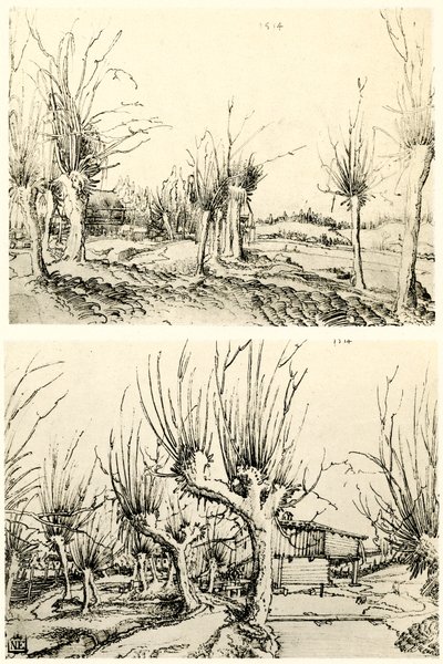 柳の木のある風景 作： Wolf Huber