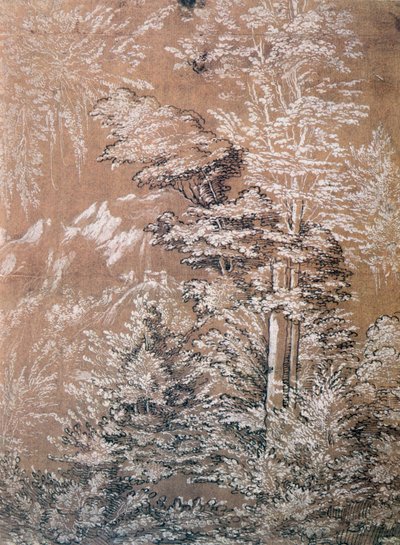 木の研究、1519年 作： Wolf Huber