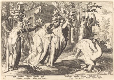 ファエトンの姉妹はポプラに、シグナスは白鳥に変わった 作： Workshop of Hendrick Goltzius, after Hendrick Goltzius