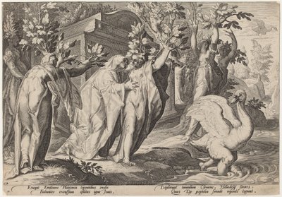 ファエトンの姉妹はポプラに、シグナスは白鳥に変わった 作： Workshop of Hendrick Goltzius, after Hendrick Goltzius