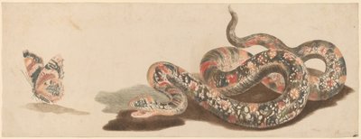 蛇と蝶 1680年代1690年代 作： Workshop of Johann Teyler