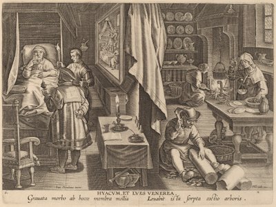 Guaiacum と性感染症 作： Workshop of Philip Galle after Jan van der Straet