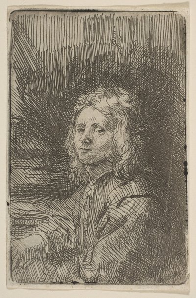 若い男、ハーフレングス、1620-69。 作： Workshop of Rembrandt