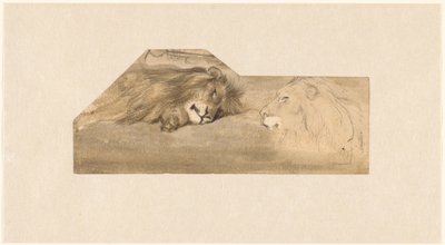 2 頭のライオンの研究 作： Wouter Johannes van Troostwijk