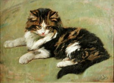 猫の習作（油彩・ボード） 作： Wright Barker