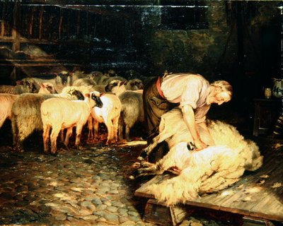 The Shearer（油彩・キャンバス） 作： Wright Barker