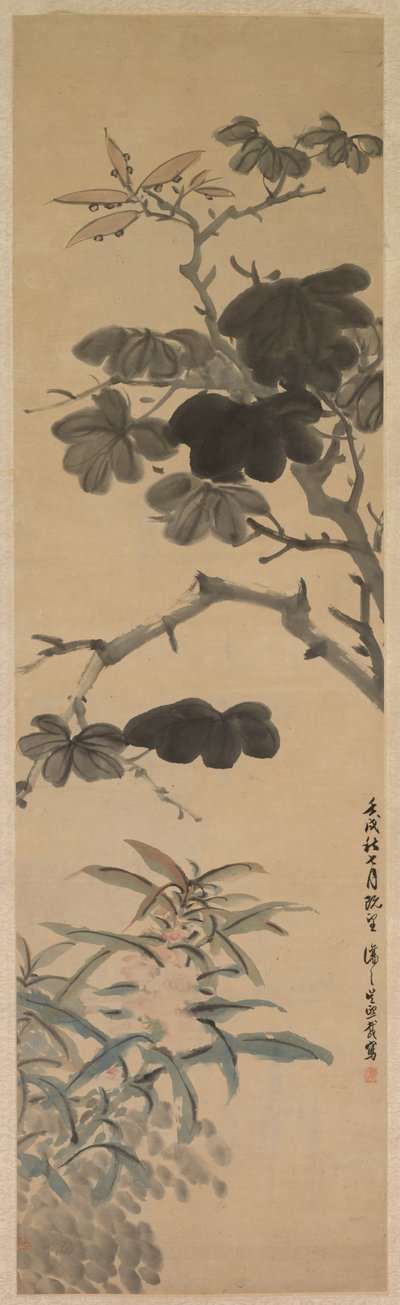 顕花植物 作： Wu Rangzhi