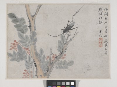 蟲と木 沈周後（紙に墨と彩色） 作： Wu Wang
