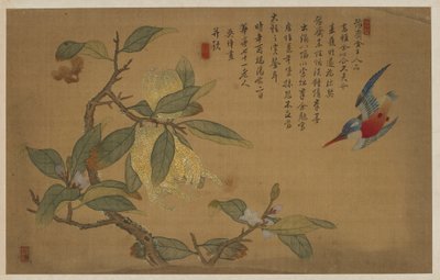 鳥、果物、花 作： Wu Zhang