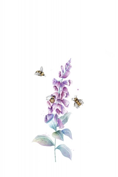 水彩画「ミツバチと花々」 作： 