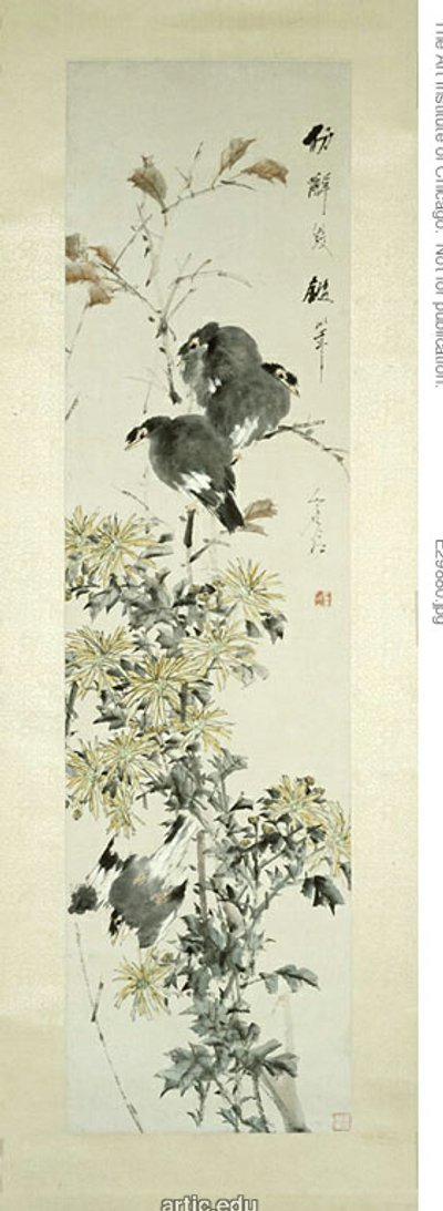 カンムリマイナ鳥と菊 作： スグ
