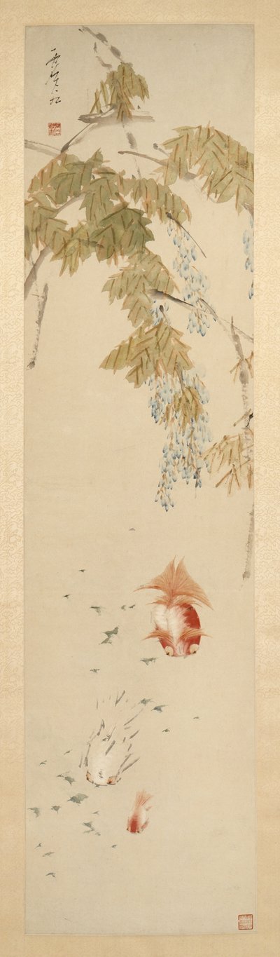 藤と金魚 紫藤金魚圖 作： Xugu