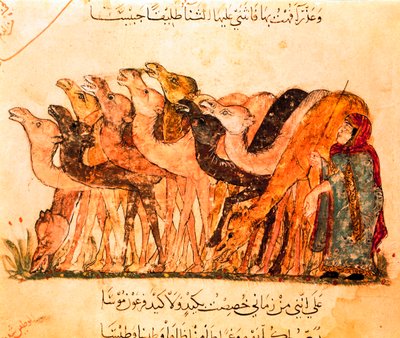 ラクダの群れとラクダのシェファード（「Maqamat」より 作： Yahya ibn Mahmud Al Wasiti