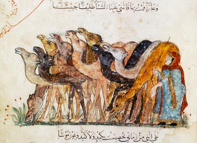 Ms Ar 5847 f.101、ラクダの群れ、アルハリリ作「Al Maqamat」（会議）、1240年頃（1689970も参照） 作： Yahya ibn Mahmud Al Wasiti