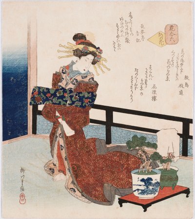 宮古の花「都の花」は、鉢植えの松のそばに立つ花魁を描き、式島枝道、かげんろ、長金亭精機の詩で有名な俳優、遊女、セレブを指します。 作： Yanagawa II Shigenobu