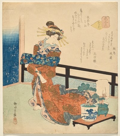 6番：花のシリーズより、首都の花 作： Yanagawa Shigenobu II