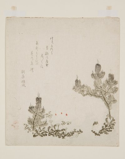 (カラー木版画) 作： Yashima Gakutei