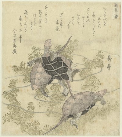水草の間の3匹のカメ 鶴と亀の二枚組（シリーズ名） 鶴亀二番 作： Yashima Gakutei