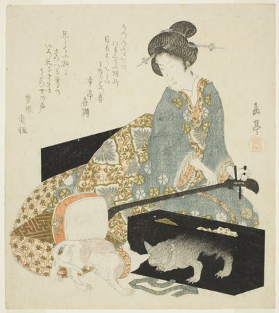 三味線と猫の女 作： Yashima Gakutei
