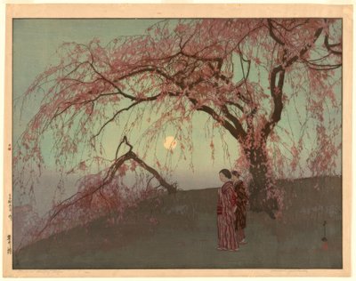 クモイサクラ（雲井桜 作： Yoshida Hiroshi