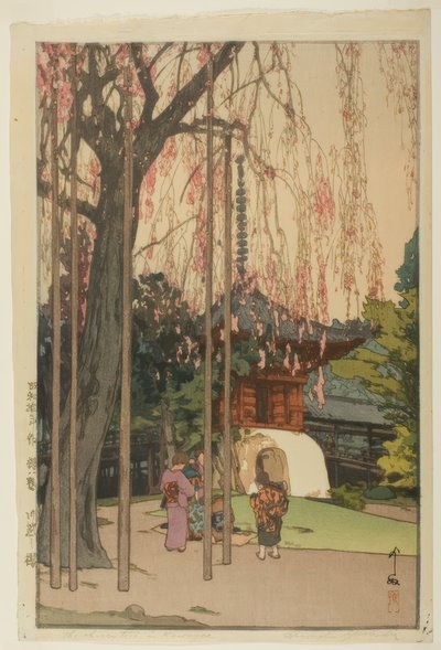 川越の桜の木 作： Yoshida Hiroshi