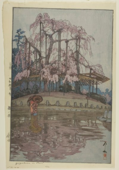 雨のヨザクラ 作： Yoshida Hiroshi
