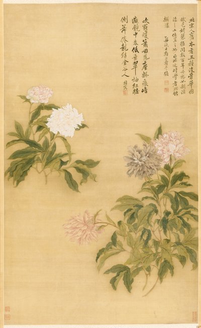 牡丹 作： Shouping Yun