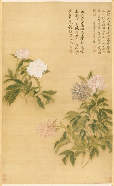 牡丹、1685年。 作： Shouping Yun
