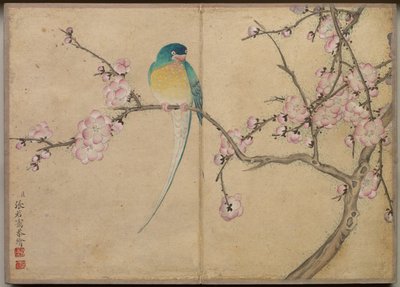 デスクアルバム：花と鳥の絵画梅と鳥、18世紀。 作： Zhang Ruoai