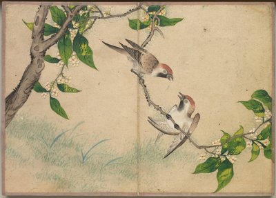 デスク アルバム: 花と鳥の絵 おしゃべりスズメ、18 世紀。 作： Zhang Ruoai