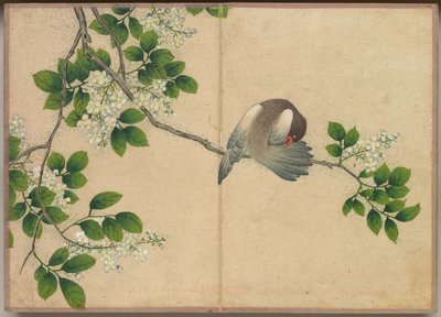 デスクアルバム：18世紀の花と鳥の絵画 作： Zhang Ruoai