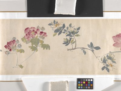 カラーフラワー 作： Zhimian Zhou