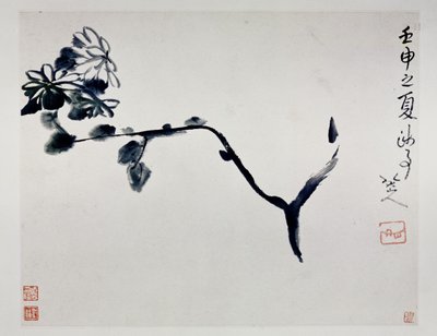 菊、1692 作： Zhu Da