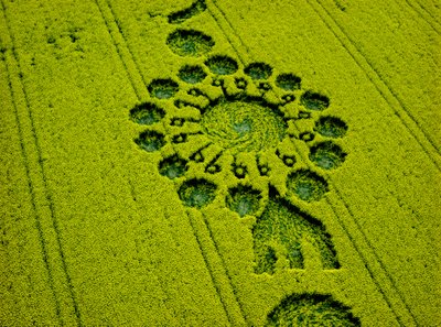 ウィルトシャー州Vale of PewseyのAlton PriorsにあるMilk Hillのアブラナ畑にあるクロップサークル。 作： Ferdinand Georg Waldmuller
