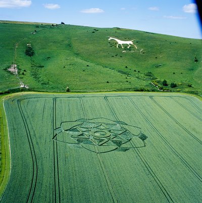 小麦畑のクロップサークル、ミルク・ヒル、アルトン・プリアーズ、ヴェール・オブ・ピューシー、ウィルトシャー 作： Ferdinand Georg Waldmuller