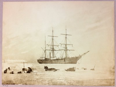 ジョージ・ナレス船長（1831-1915）の北極圏遠征（1875-1876）：H 作： Frederick (attr. to) Barnard