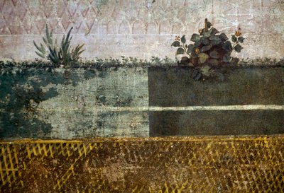 イタリア・ローマ、パラティーノの丘にあるリヴィア家の庭園に描かれた果樹と鳥のいる庭園を描いたフレスコ画の詳細、花瓶。ローマ文明 作： Georg Carl Heinrich Dollmann