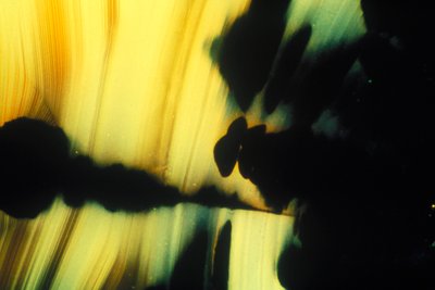 GLASS, LM ローマングラス 作： Frederick (attr. to) Barnard