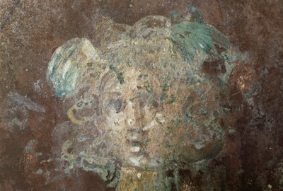 ペルセウスを描いたフレスコ画に描かれたメドゥーサの頭部（イタリア・カンパニア州カステランマーレ・ディ・スタビアの古代都市スタビアーエより）（写真 作： William Walcutt