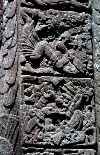 グアテマラ、イザバル、クイリグアのステラDのヒエログリフ、古典期後期、西暦600〜900年頃（写真 作： Hippolyte Lalaise Devéria