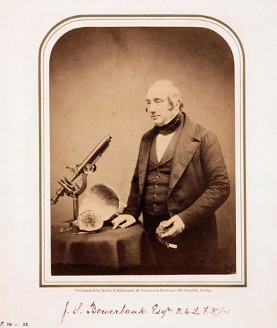 ジェームズ・スコット・バウアーバンク（イギリスの地質学者 作： Ferdinand Georg Waldmuller