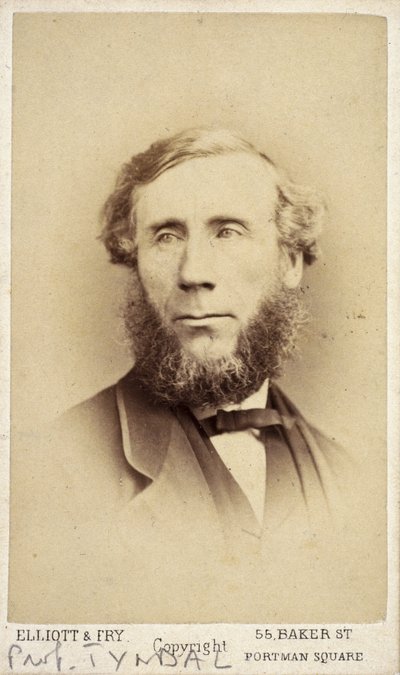 John Tyndall, アイルランドの物理学者, 1875年頃 作： Frederick (attr. to) Barnard