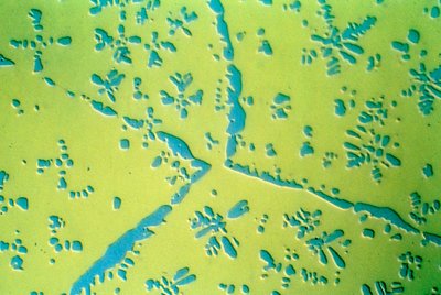 METALS, NON-FERROUS, LM 銅亜鉛二元合金 作： Frederick (attr. to) Barnard