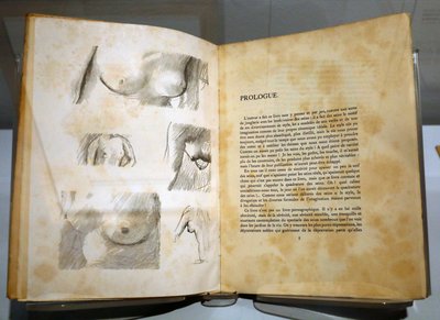 フランス、ジヴェルニーの印象派美術館。 ラモン・ゴメス・デ・ラ・セルナの本、ピエール・ボナールの素描。 胸。 作： . .