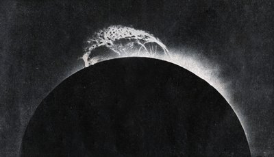 1929年に撮影された太陽の噴火。 (プリント) 作： . .