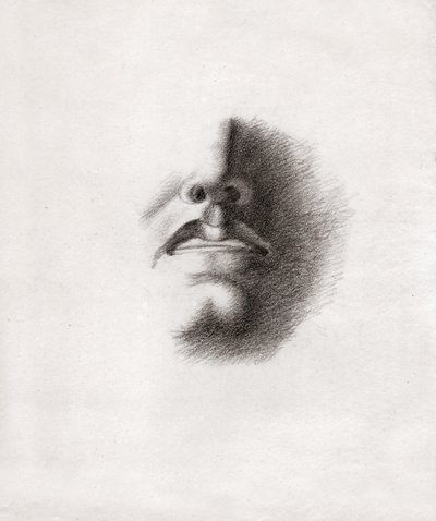 男性の顔の研究：口と鼻。 1830年頃（絵） 作： . .