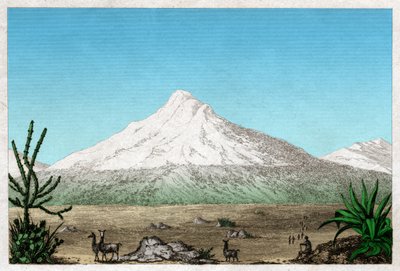 エクアドルのタピア高原にあるチンボラソ火山。 1840年頃（彫刻） 作： . .