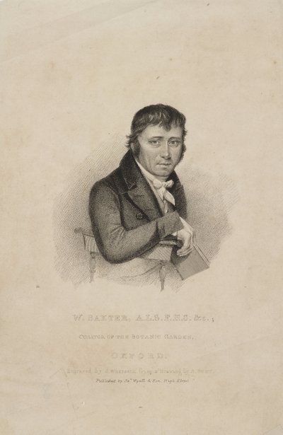 ウィリアム・バクスター（ALS FHS）、イギリスの植物学者、1820年代頃 作： Frederick (attr. to) Barnard