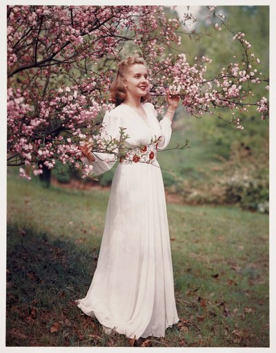 花の近くでドレスのモデルをする女性、1940年代頃 作： Frederick (attr. to) Barnard