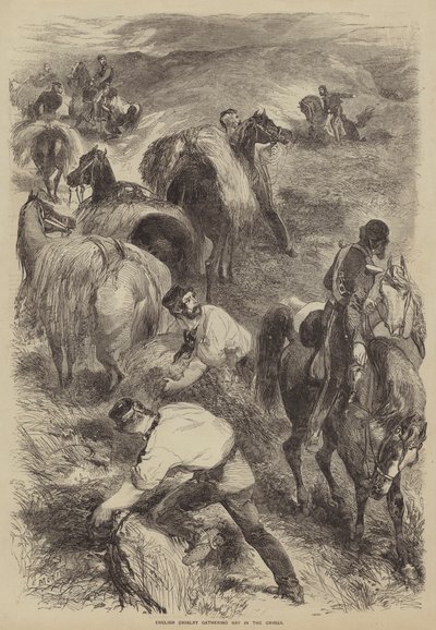 クリミア半島で干し草を集めているイギリスの騎兵 作： after Edmond Morin